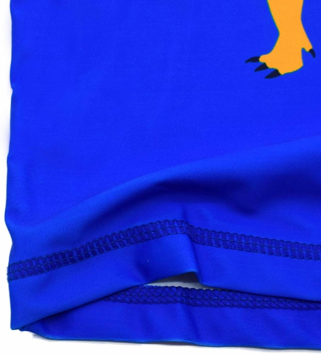 Boys Two Piece Rash Guard Swimsuits Kids Long Sleeve Sunsuit Swimwear Sets