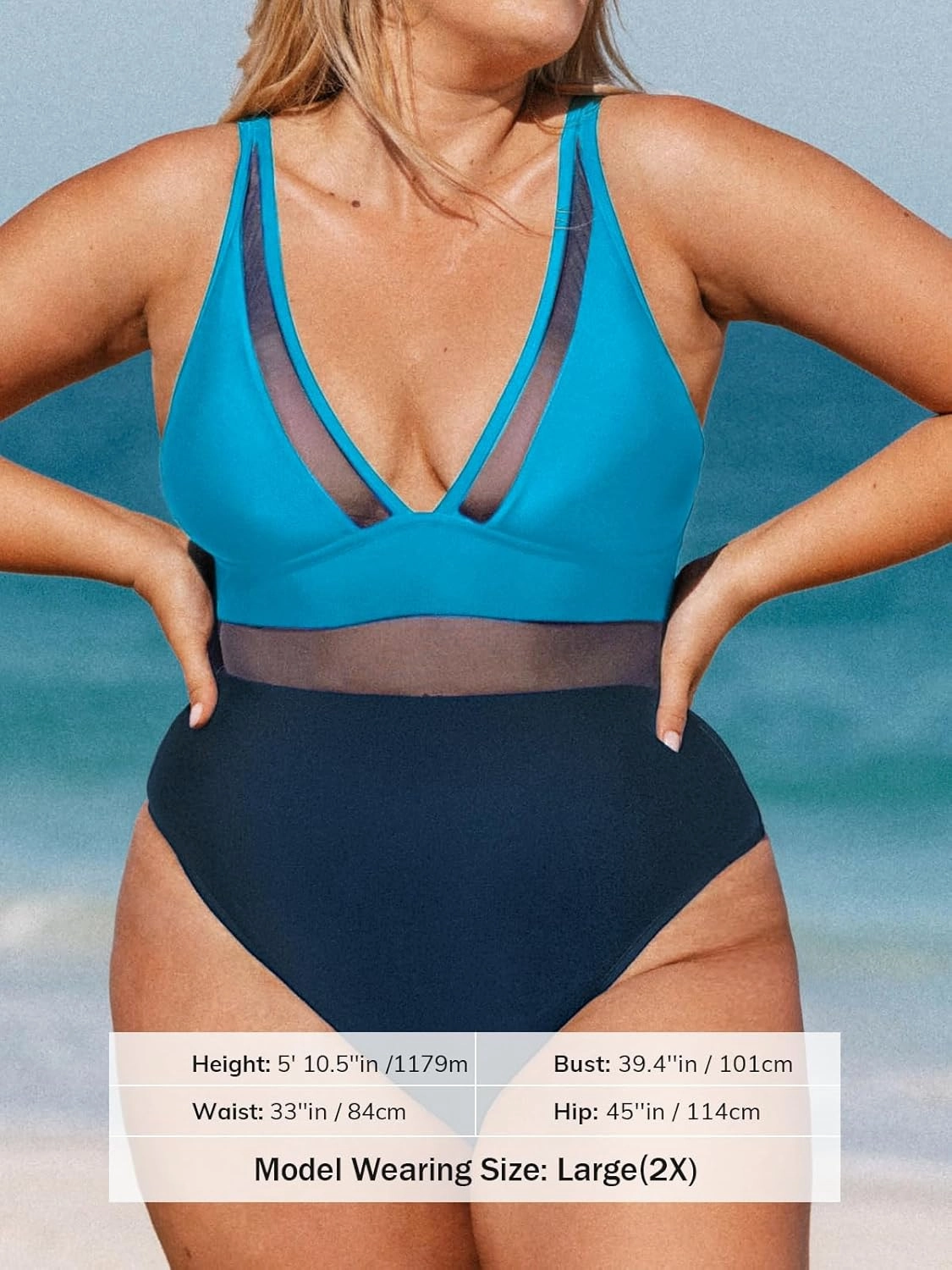 CUPSHE Women Plus Size One Piece Swimsuit V Neck Mesh Sheer Tummy Control Bathing Suit with Adjustable Wide Straps