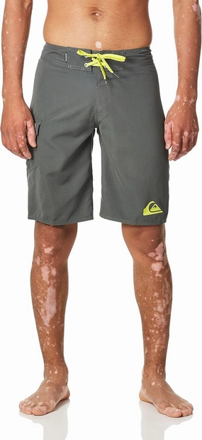 Quiksilver Men's Standard Everyday 21" Board Shorts