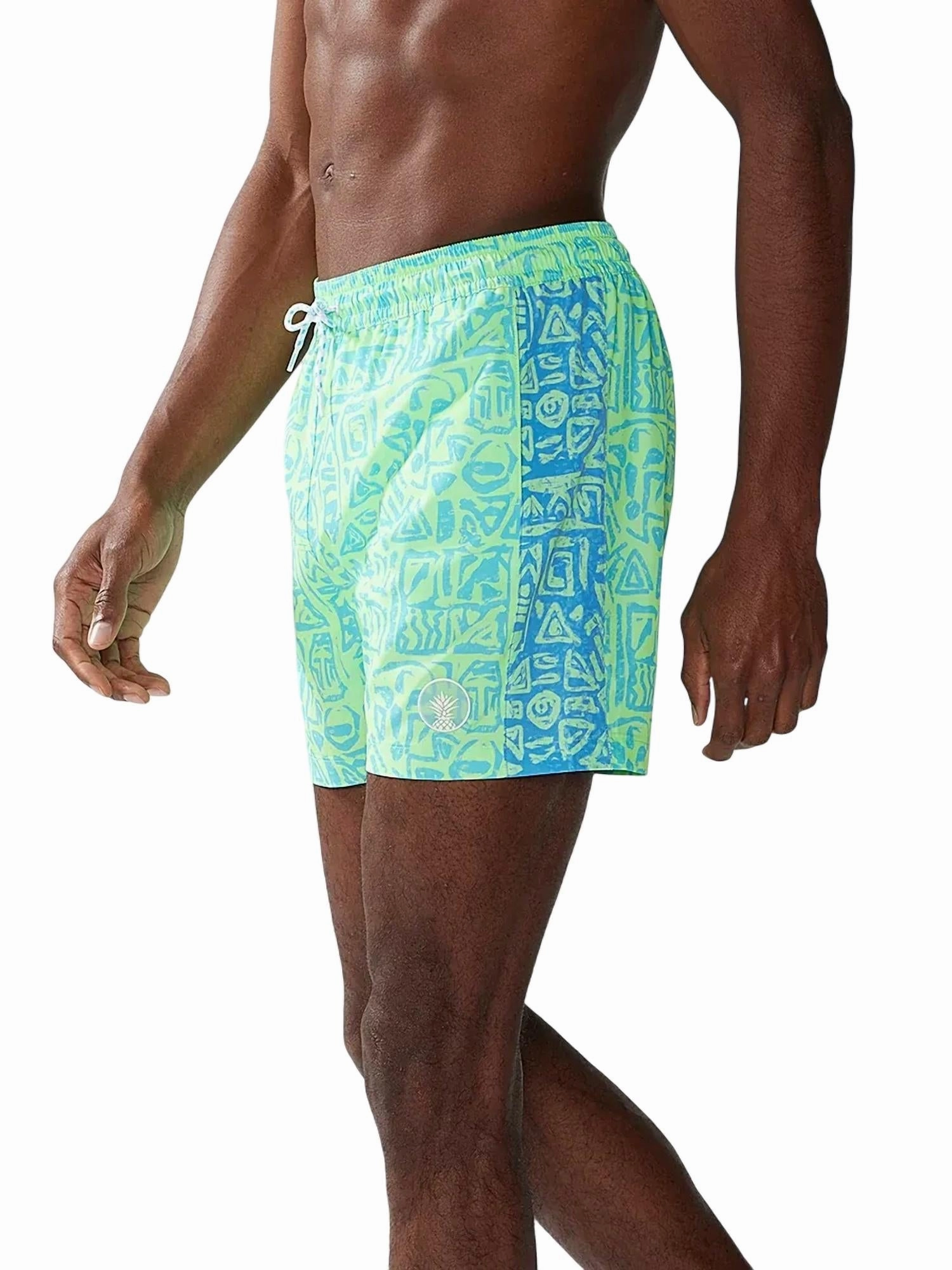 Shakedowns Swim Trunk In Green Geometric