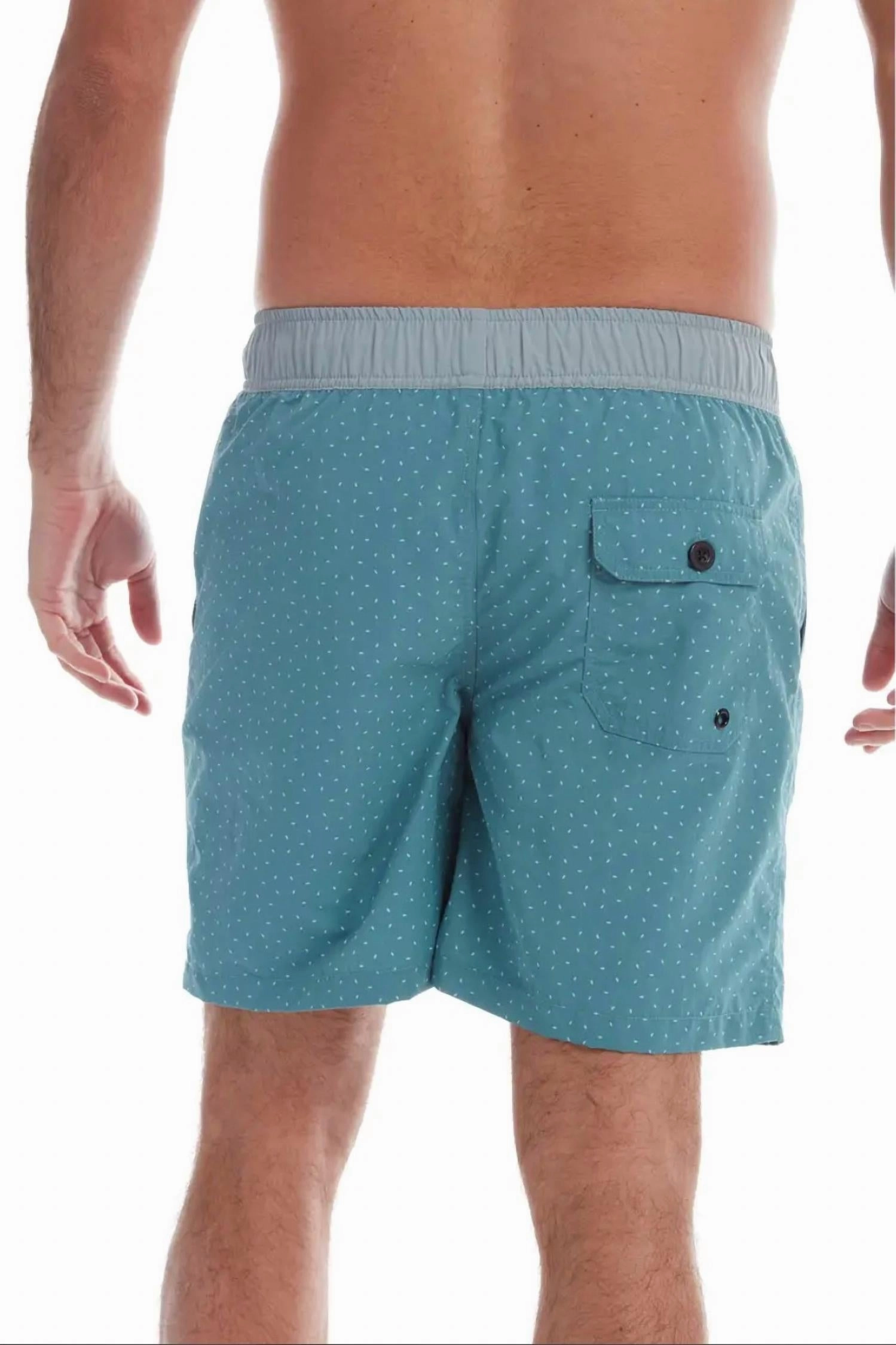 Winston Printed Swim Trunks In Blue